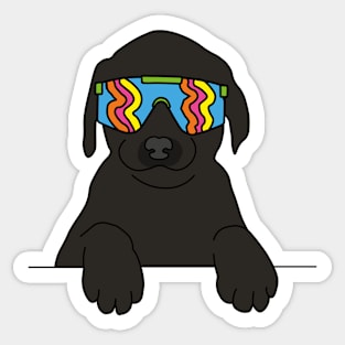 black Labrador puppy Dog wearing 80's skiing sunglasses Sticker